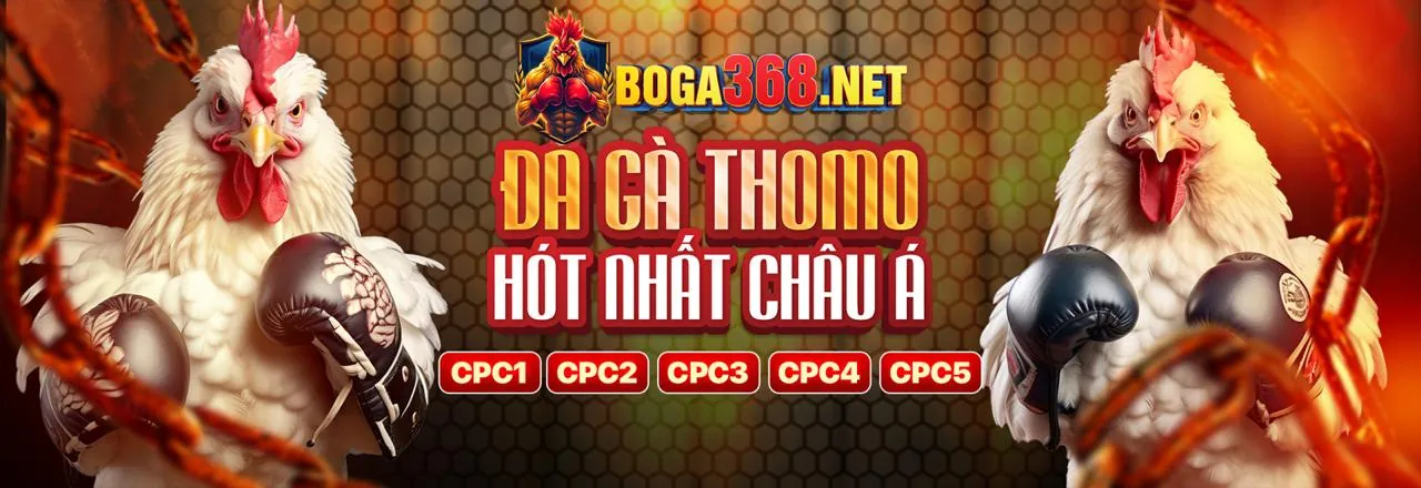 Giải thích quy tắc chơi Baccarat cơ bản tại TC88