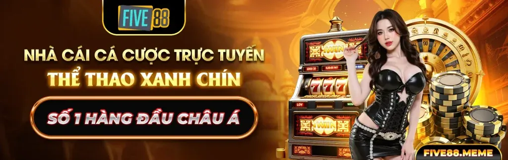 Xác nhận và bắt đầu trải nghiệm